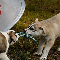 2012-09-06 11-26-46