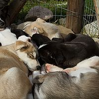 2012-09-06 13-38-10