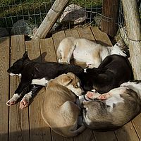 2012-09-06 13-41-00