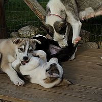 2012-09-06 16-34-11