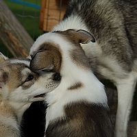 2012-09-06 16-34-52