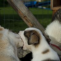 2012-09-06 16-35-03