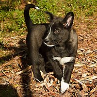 2012-09-06 17-13-43