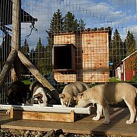 2012-09-06 17-44-41