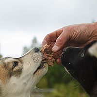 2012-09-07 12-41-51