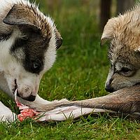 2012-09-07 12-54-57