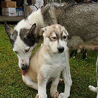 2012-09-07 13-12-41