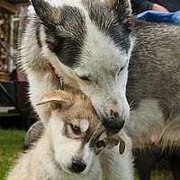 2012-09-07 13-12-48