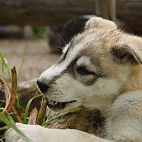 2012-09-07 13-27-52-2