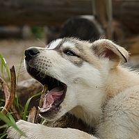 2012-09-07 13-27-53-2