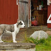 2012-09-07 13-29-39