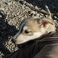 2012-09-08 10-11-38