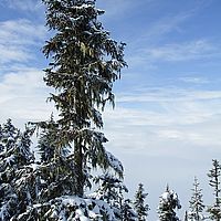 2013-02-25 10-55-25