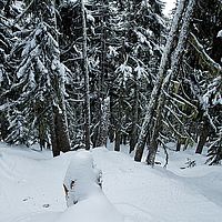 2013-02-25 12-23-42