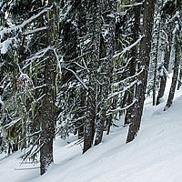 2013-02-25 12-23-45