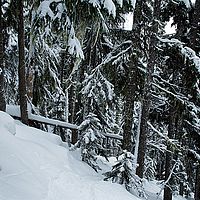 2013-02-25 12-23-50