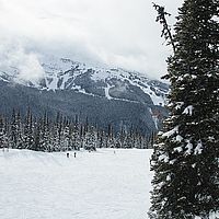 2013-02-25 14-52-13