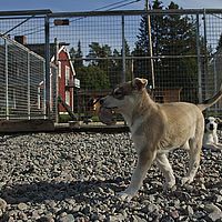 2012-09-08 10-42-37-2