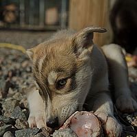 2012-09-08 10-44-49