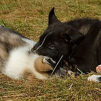 2012-09-08 11-11-02