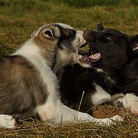 2012-09-08 11-12-06-4