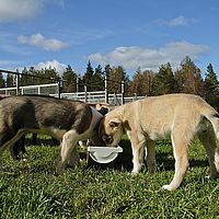 2012-09-08 12-57-43