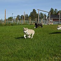 2012-09-09 11-57-52-1