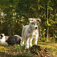 2012-09-09 12-23-22
