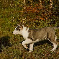 2012-09-09 17-12-36