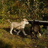 2012-09-09 17-13-04