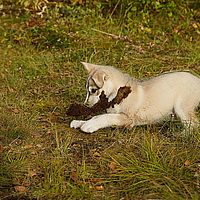 2012-09-09 17-19-15-1