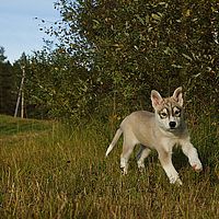 2012-09-09 17-22-23
