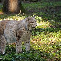 2014-03-29 03-05-40