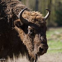 2014-03-29 03-36-41-4
