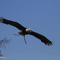 2014-03-29 05-10-23