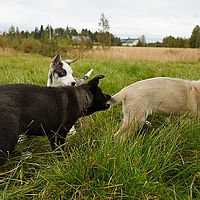 2012-09-10 15-23-21