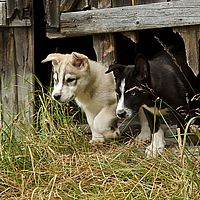 2012-09-10 15-27-24