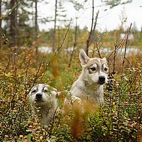 2012-09-11 13-37-57