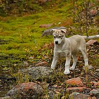 2012-09-11 15-27-35