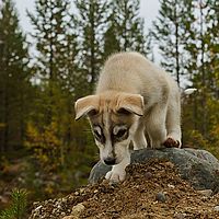2012-09-11 15-34-20-2