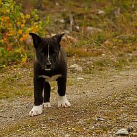 2012-09-11 16-02-47-2