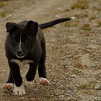 2012-09-11 16-06-03-2