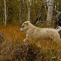 2012-09-11 16-15-56
