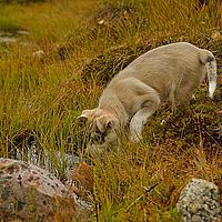 2012-09-11 16-16-31