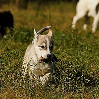 2012-09-12 12-03-45