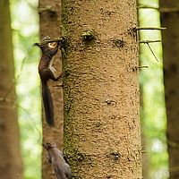 2014-05-06 16-57-31