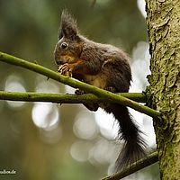 2014-05-06 17-03-51