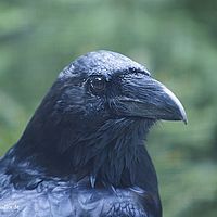 2014-08-17 09-28-16-2