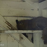 2014-08-17 09-33-52