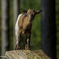 2014-08-17 09-52-57